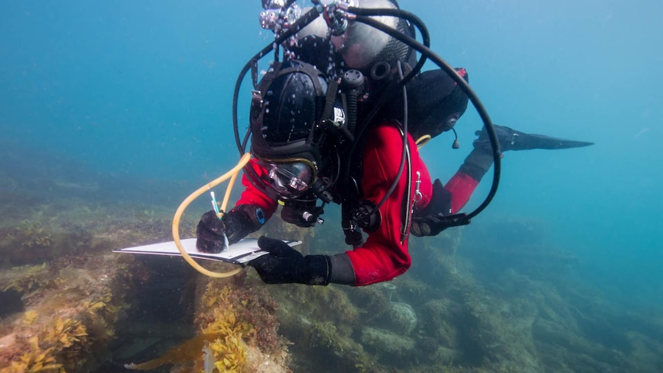 Un plongeur prend des notes sous l'eau.