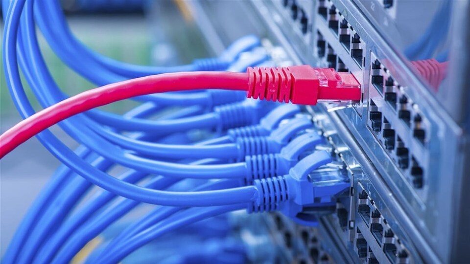 Un câble rouge est branché dans un ordinateur au-dessus d'une douzaine de câbles bleus.