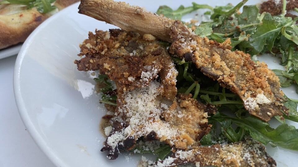 Le champignon estil un légume?