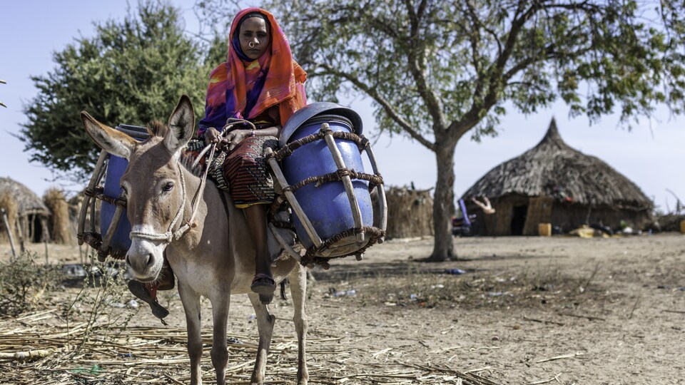 Une femme d'un peuple nomade en Afrique habillée de couleurs vives. Elle est assise sur un âne et porte un anneau au nez.