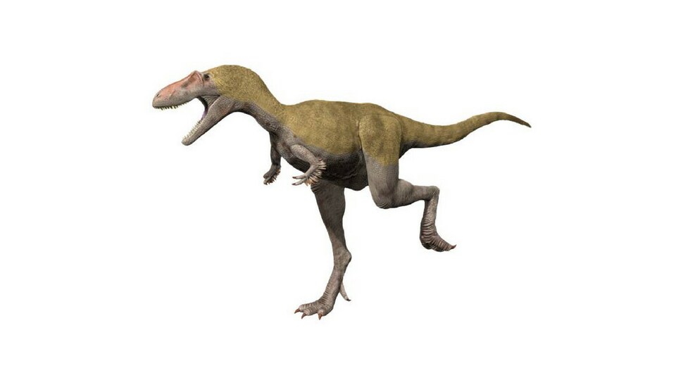 Dessin du dinosaure