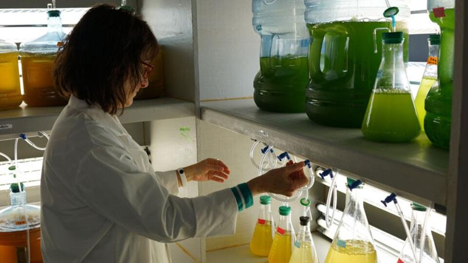 Une personne dans un laboratoire.