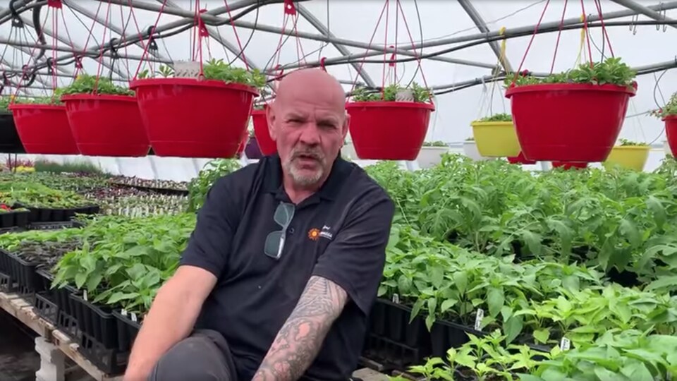 Un homme assis dans une serre devant des rangées de plantes.