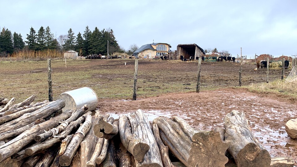 Un enclos avec une maison à l'arrière plan.