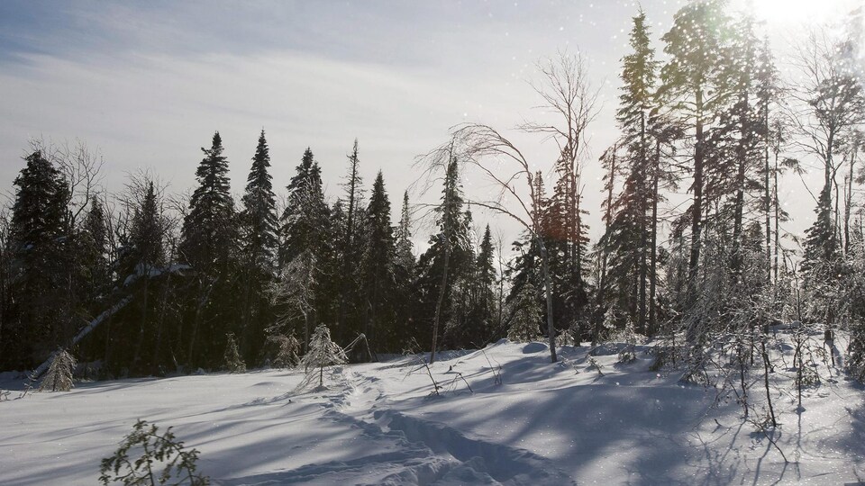Le sommet enneigé d'un mont de Charlevoix.