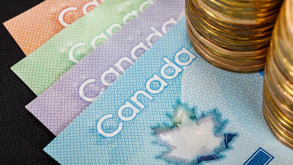 Des billets de banque de 5, 10, 20 et 50 dollars disposés en éventail avec deux piles de pièces de 1 dollars par-dessus. 