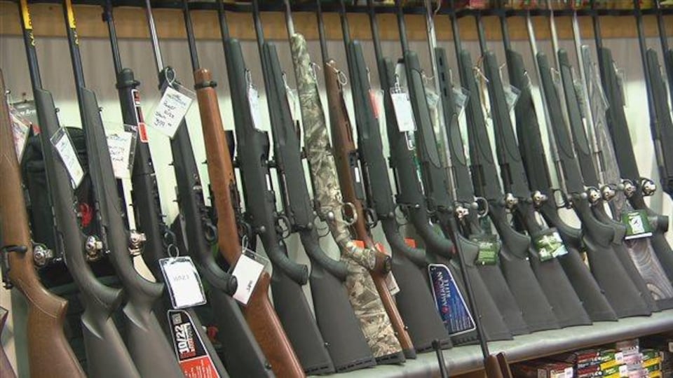 Un étalage de fusils de chasse chez un marchand.