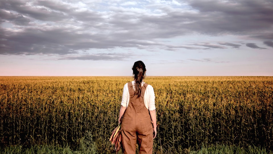 Une femme est posée de dos, face à un champ de maïs.