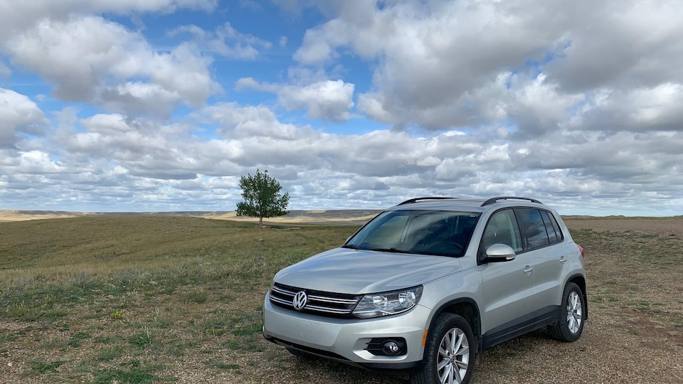 Une voiture stationnée dans les prairies, un arbre en arrière-plan, sous un ciel partiellement nuageux.