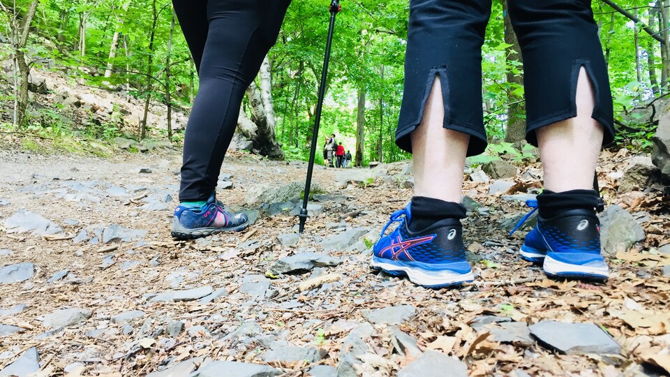 Des jambes de marcheurs en forêt.