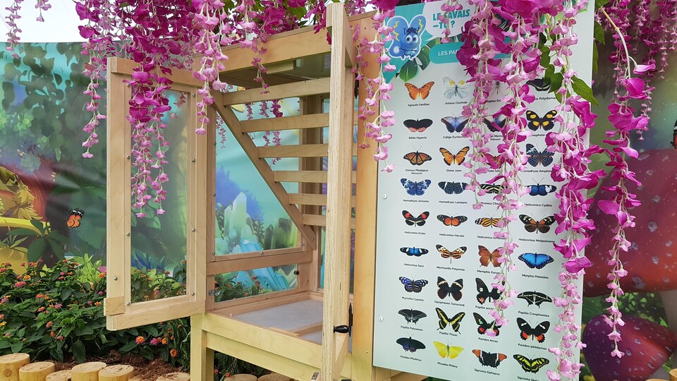 Une pouponnière à cocon de papillon dans un décor de fleurs.