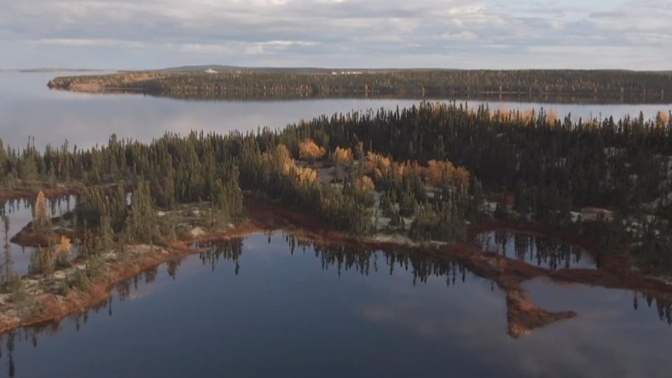 Une vue aérienne d'un lac et de forêts.