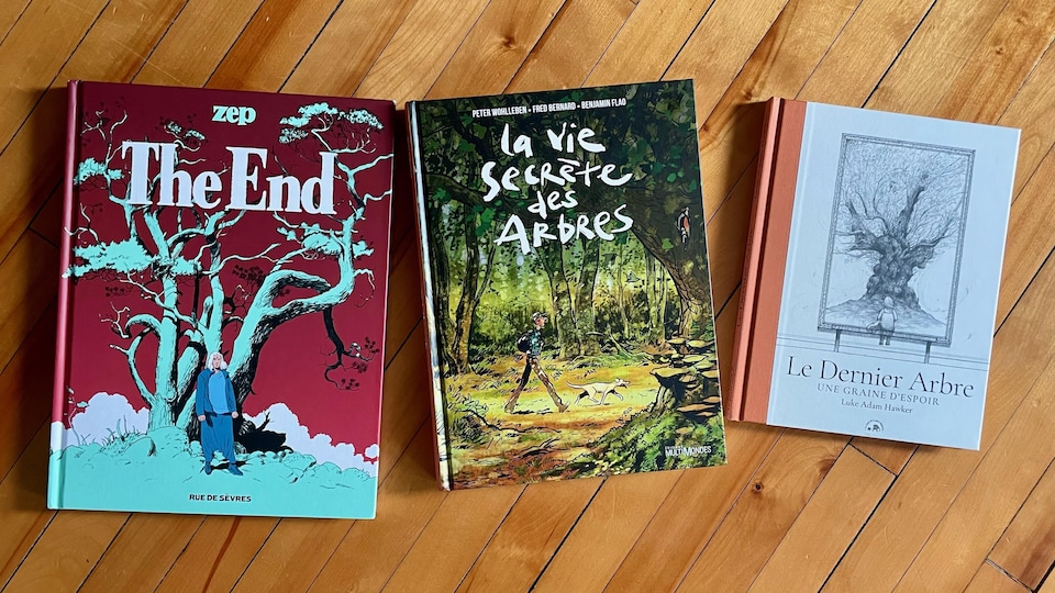 Trois couvertures de bande dessinées qui racontent les arbres.