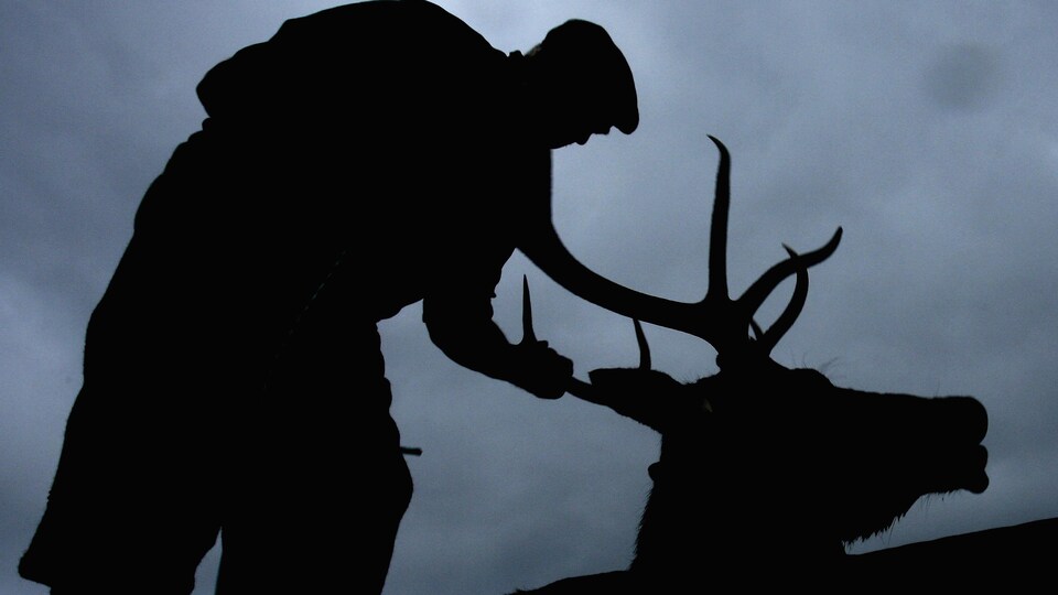 Un silouhette d'un homme qui tient les bois d'un original dans la pénombre.