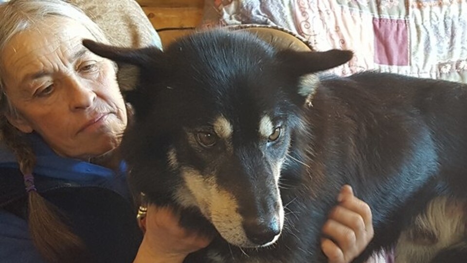 Marcelle Fressineau, conductrice de chiens de traineaux est en train de caresser un chien