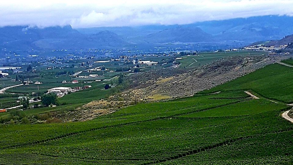 Le domaine vinicole d'Osoyoos-Larose dans l'Okanagan