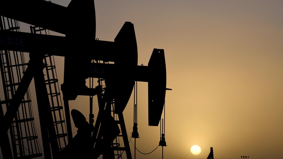 Des pompes installées sur des puits de pétrole.