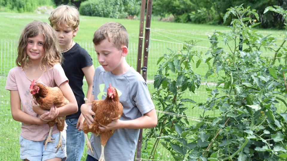 Trois enfants tenant des poules marchent dans un champ.