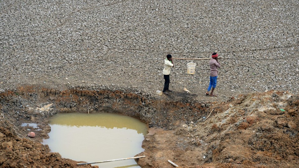 Deux travailleurs indiens transportent un seau d'eau puisée à même un étang asséché.