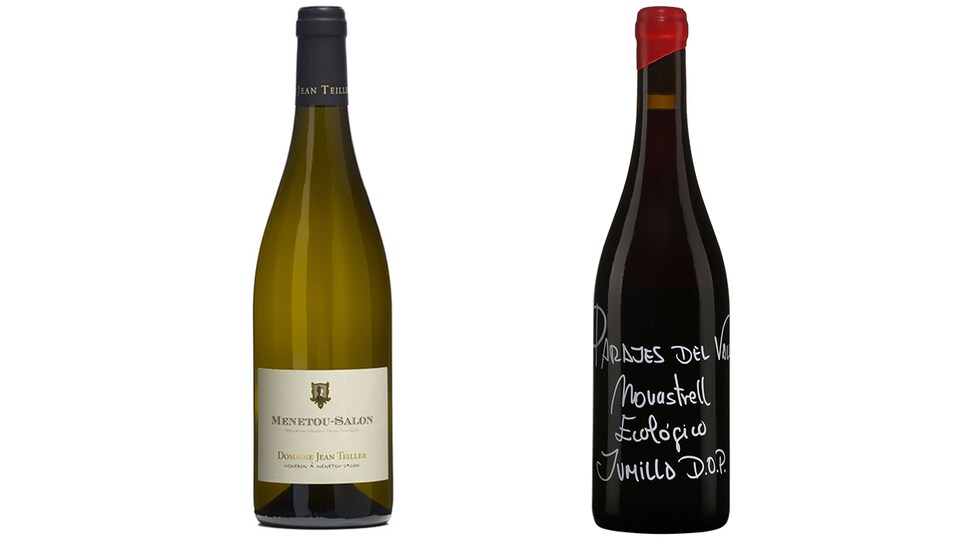 Deux bouteilles de vin recommandées par la Master Sommelier Élyse Lambert.