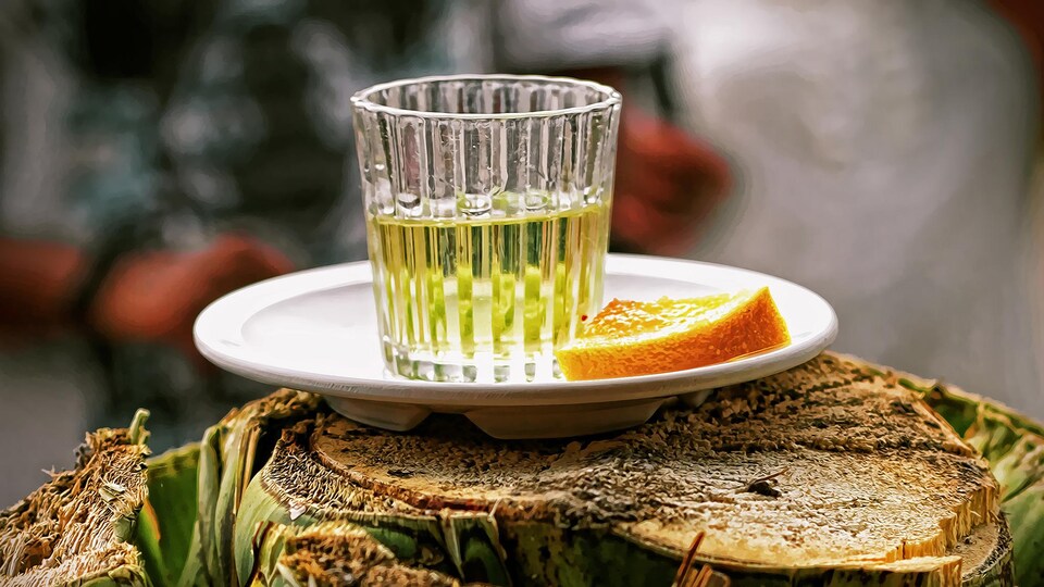 Un verre de mezcal est accompagné d'un quartier d'orange.
