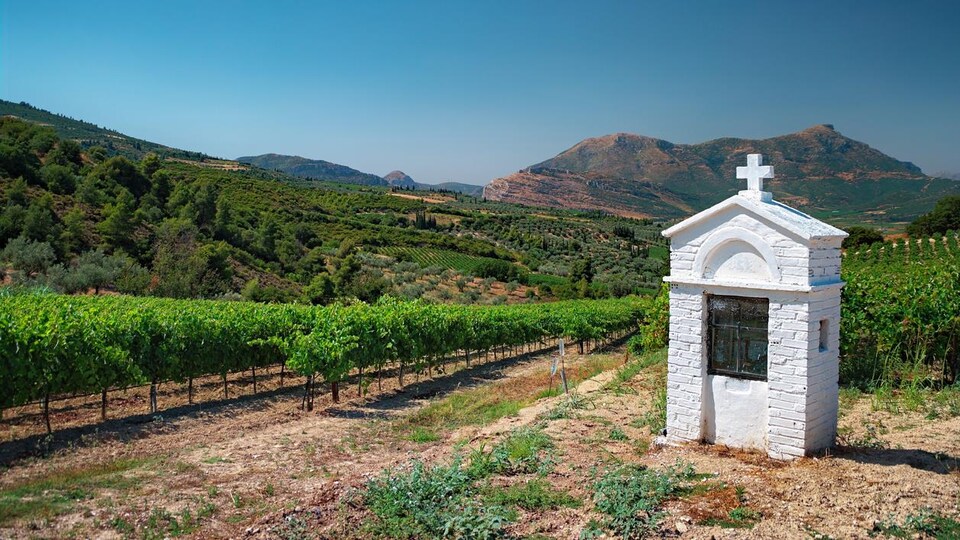 Paysage de collines recouvertes de vignes avec une petite chapelle votive au premier plan.