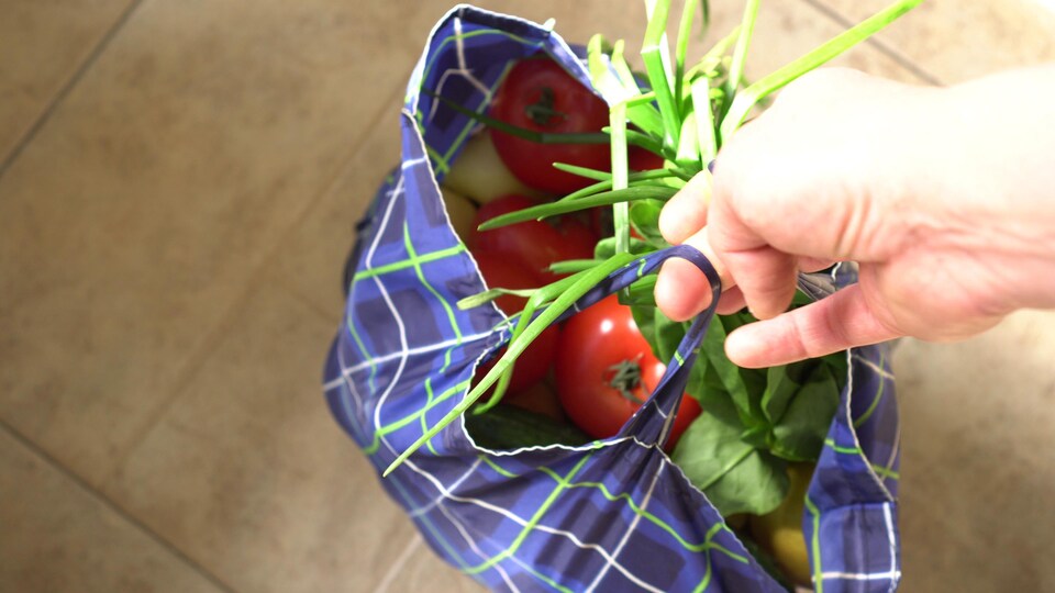 Une personne tient un sac réutilisable dans lequel se trouvent des légumes.
