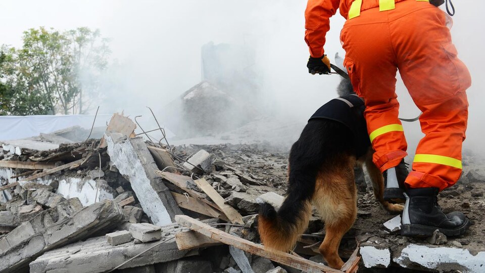 Un travailleur vêtu d'une combinaison orange déambulent dans les décombres d'un bâtiment après une catastrophe.