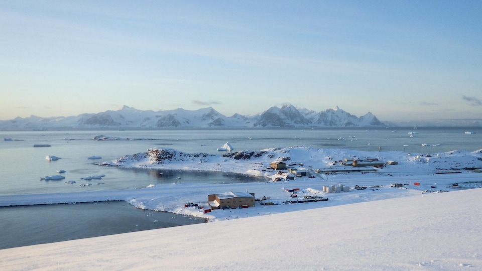 Paysage de mer, de montagnes et de côte enneigées où se trouve une station de recherche composée de plusieurs bâtiments.