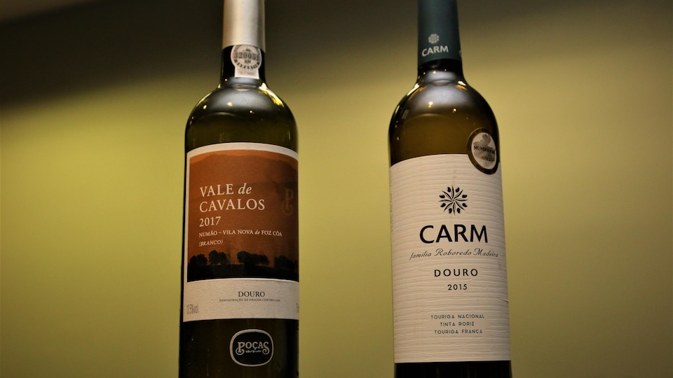 Les vins rouge et blanc que propose Élyse Lambert.
