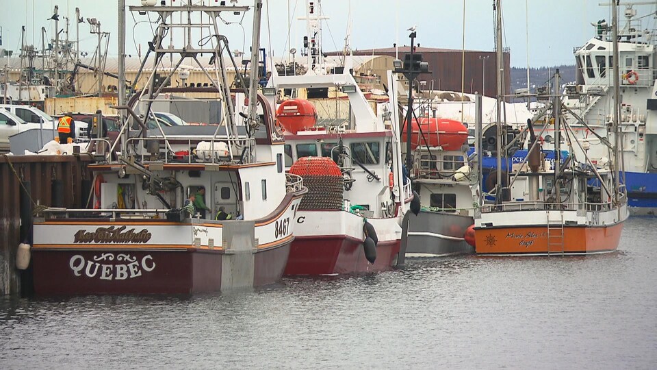 Plusieurs bateaux de pêche accostés à un quai.