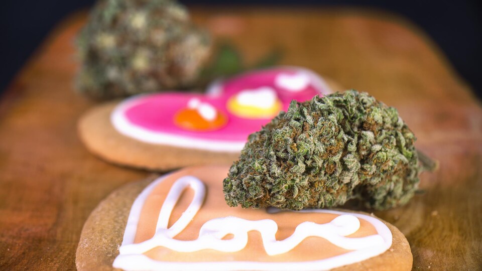 Des biscuits avec des inscriptions de messages d'amour déposés à côté de fleurs de cannabis.