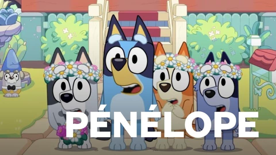 Capture d'écran du dessin animé Bluey dans lequel on voit plusieurs chiens regarder droit devant eux.