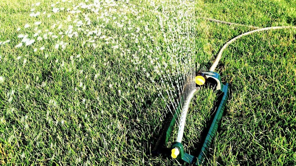 L'arrosage des pelouses consomme beaucoup d'eau potable.