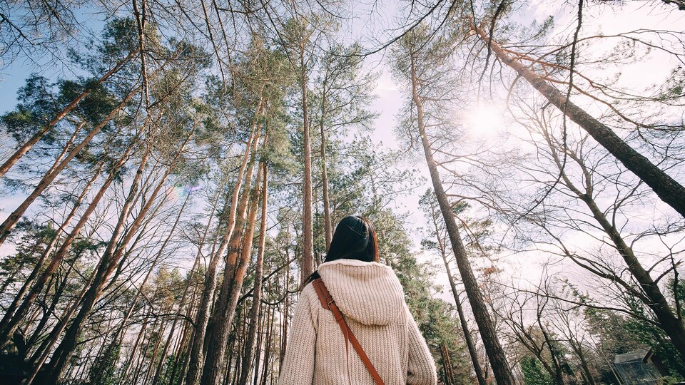 De dos, une femme regarde le ciel dans une forêt.