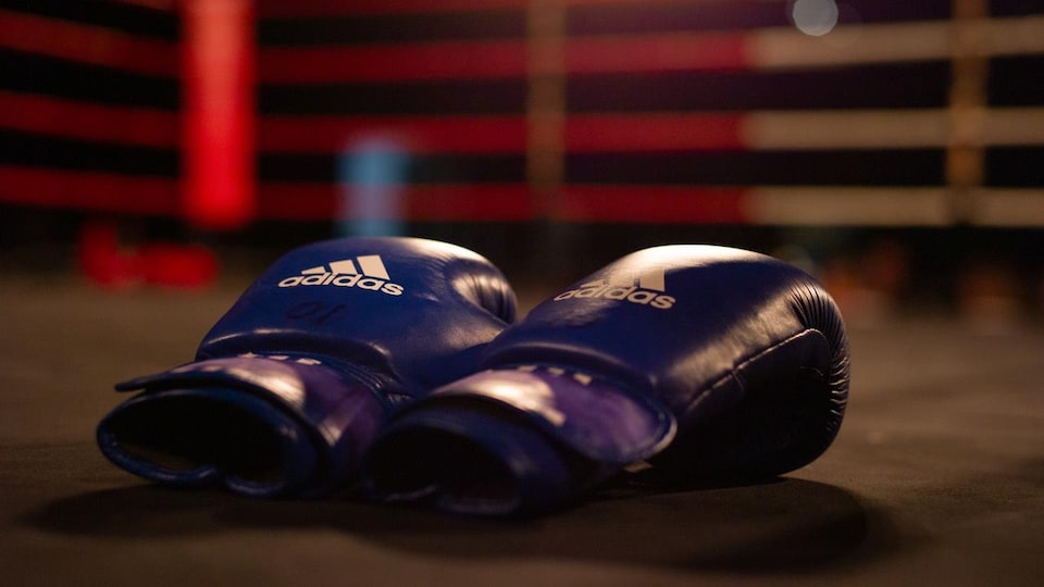 Une paire de gants déposés dans un ring de boxe.