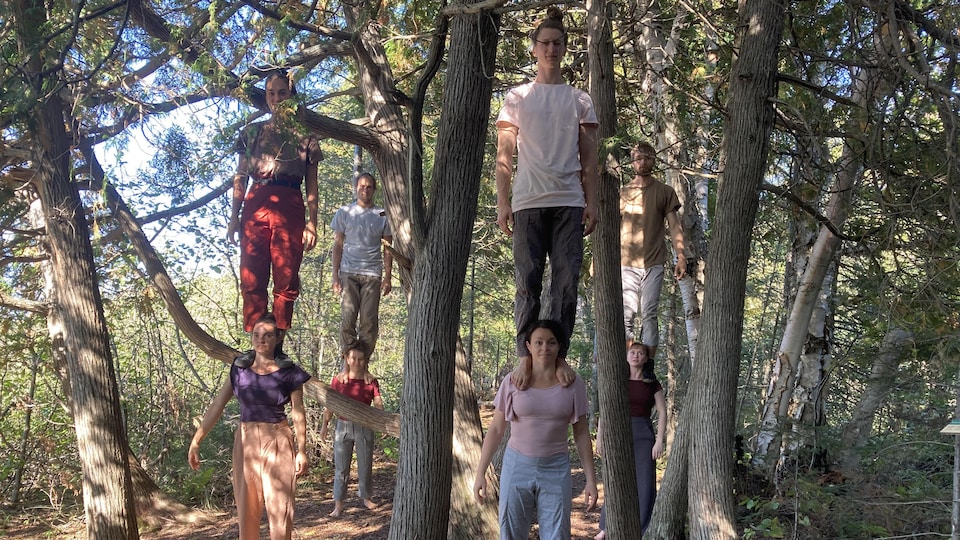 Quatre femmes ayant chacune un artiste debout sur leurs épaule, dans la forêt.