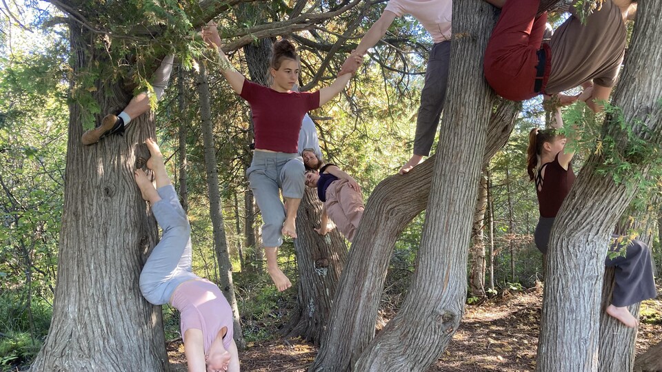 Huit artistes utilisent différents arbres pour réaliser des figures acrobatiques.