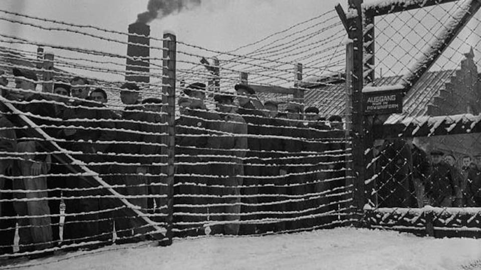 Des prisonniers allemands derrière des barbelés.