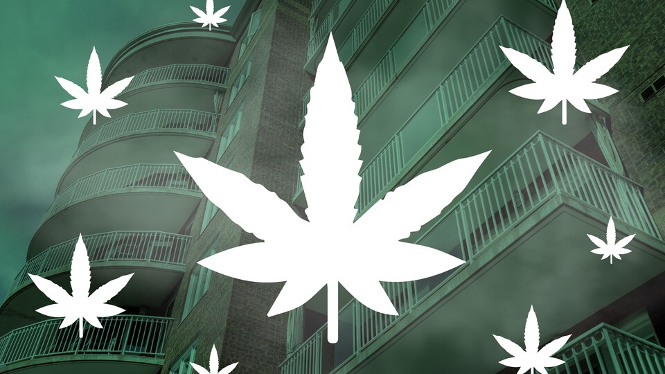 Superposition de feuilles de cannabis et d'une photo d'un immeuble à condos.