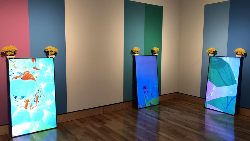 Trois écrans pleins de couleurs sur lesquels ont été déposés des petits bonsaïs imprimées font partie de l'exposition At The Edge Of Two Worlds de Chun Hua Catherine Dong, exposé au musée The Rooms.