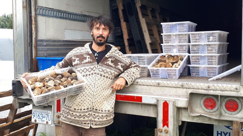 Le spécialiste devant un camion contenant des caisses de morilles, prêtes à être transportées.