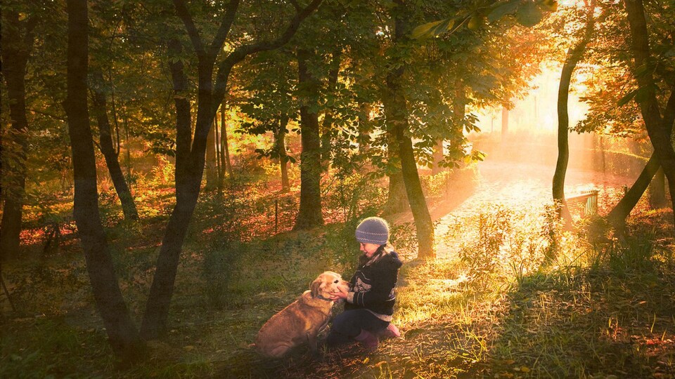 une enfant et son chien dans un sous-bois
