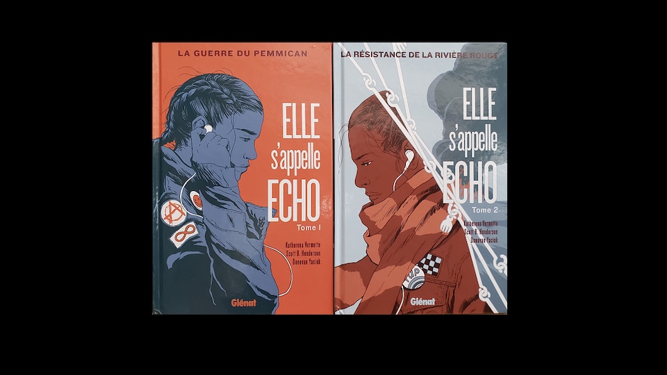 Couvertures des tomes de la série.