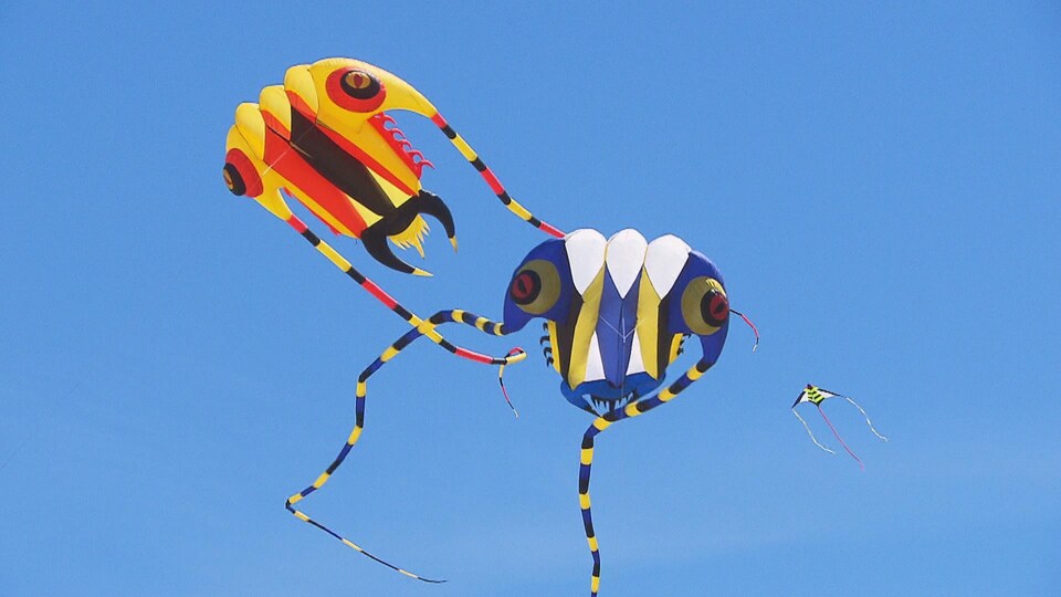Des cerfs-volants dans le ciel.