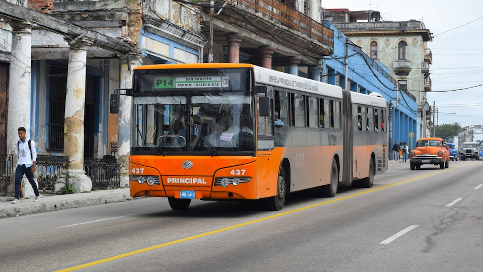 Un autobus articulé est suivi par une veille voiture à La Havane, en 2016.