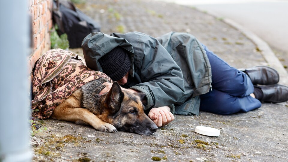 Un jeune homme et son chien
