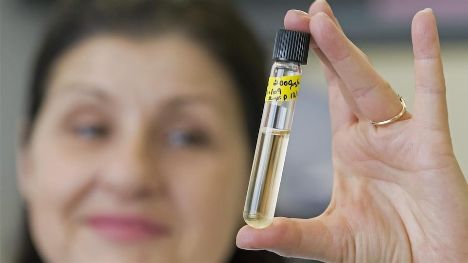Une femme manipule un échantillon d'urine.