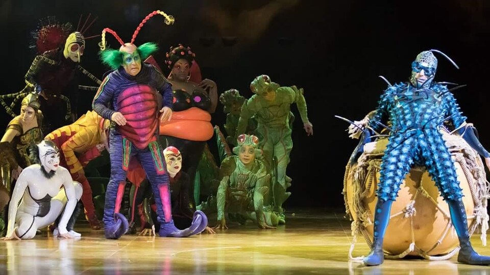 Les artistes du Cirque du Soleil