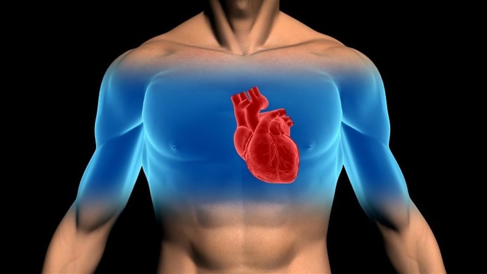 Illustration d'un cœur dans la poitrine d'un homme.